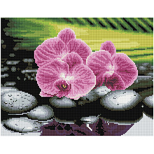 Алмазная мозаика-вышивка "Орхидеи на камнях"