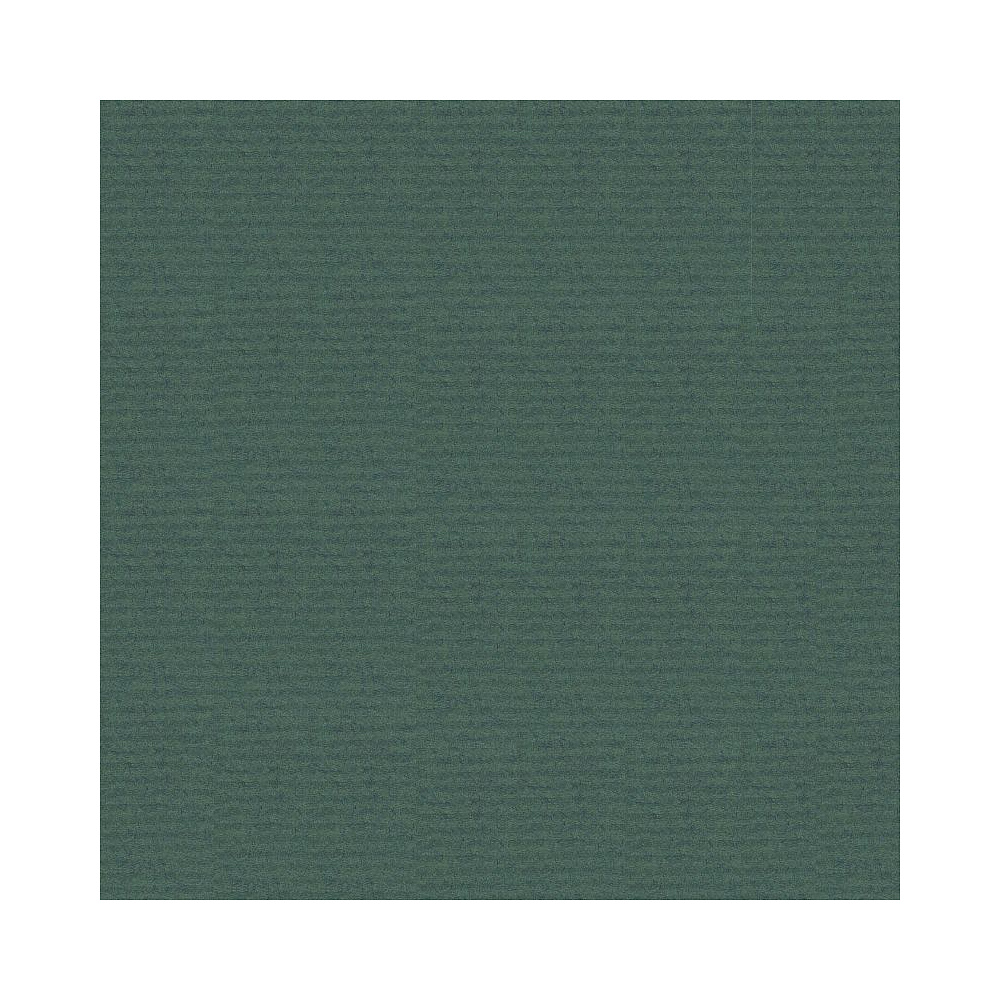 Бумага декоративная в рулоне "Coloured Kraft", 3x0,7 м, 65 г/м2, светло-зеленый - 10